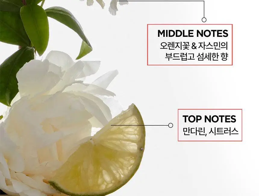 [살롱 케어] 케라스타즈 프리미에 마스크 200ml 상세페이지 12